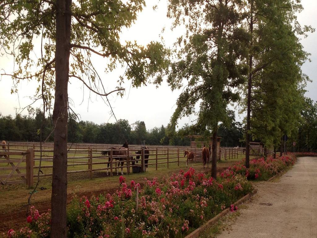 Agriturismo Il Boschetto Ornago Buitenkant foto